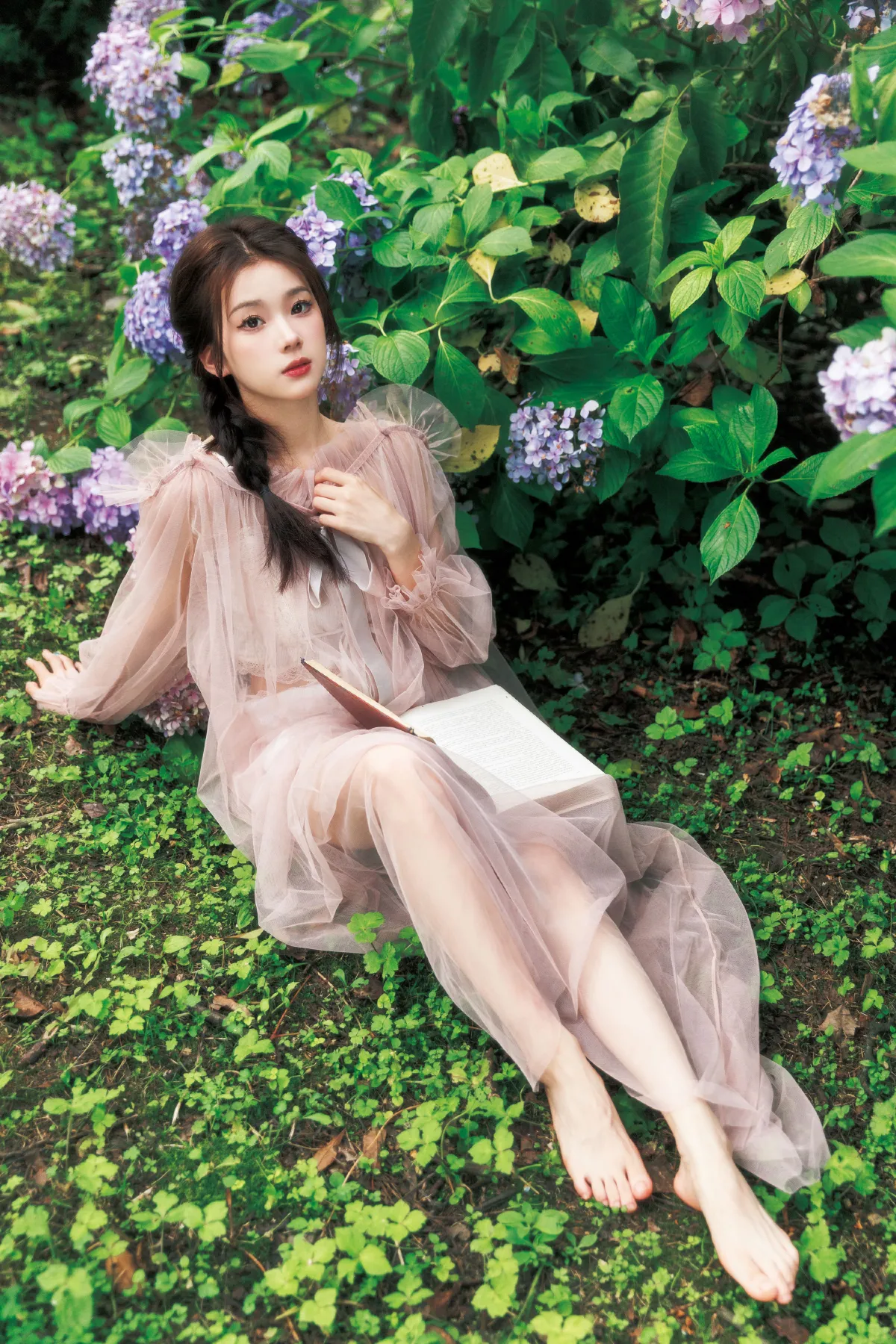花园里的夏天