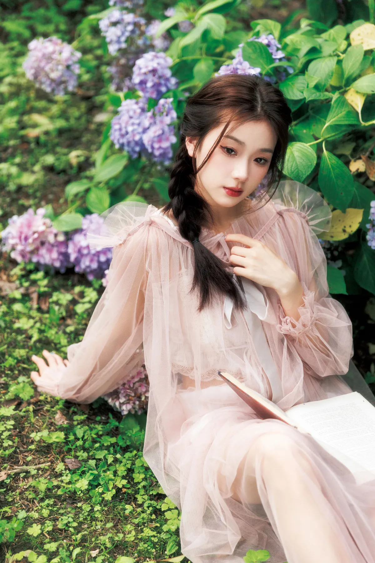 花园里的夏天