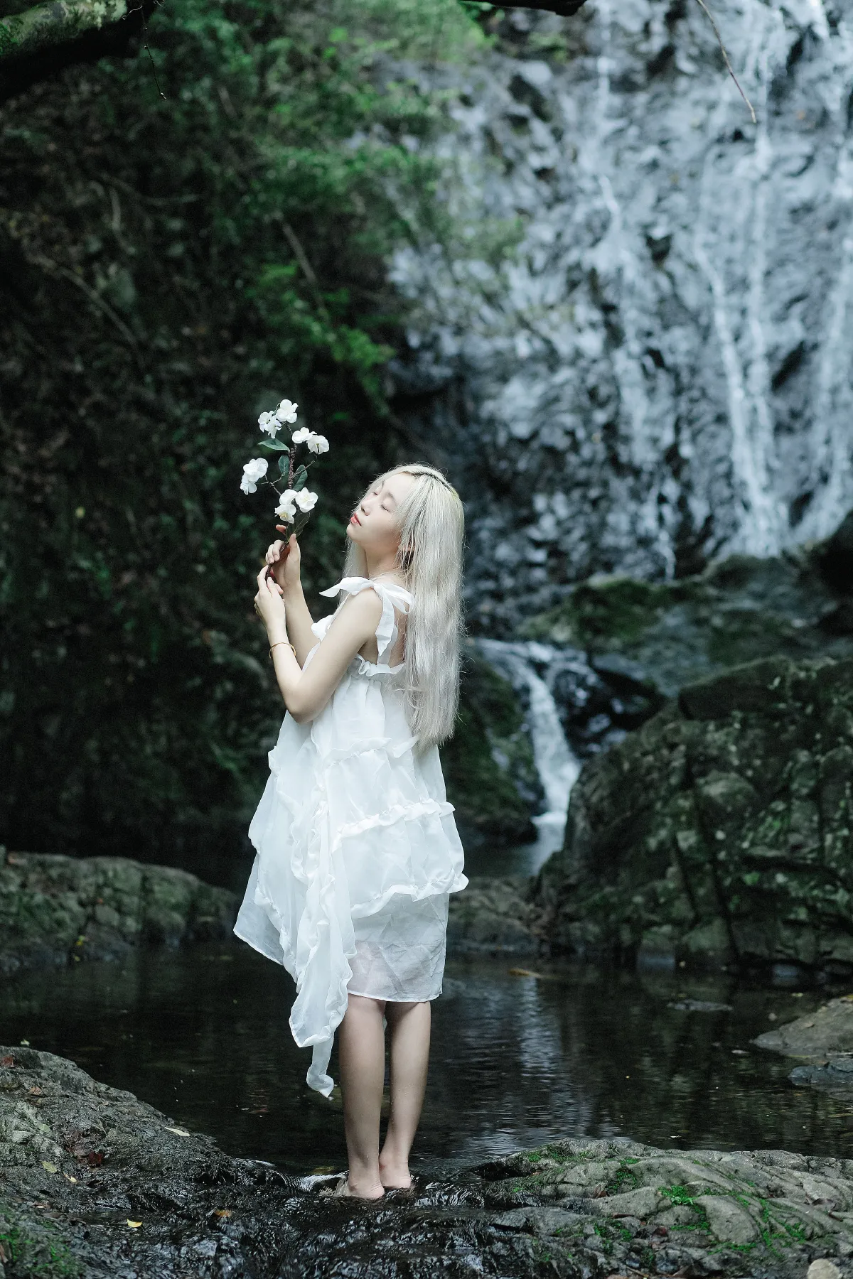 青山有思 白鹤忘机
