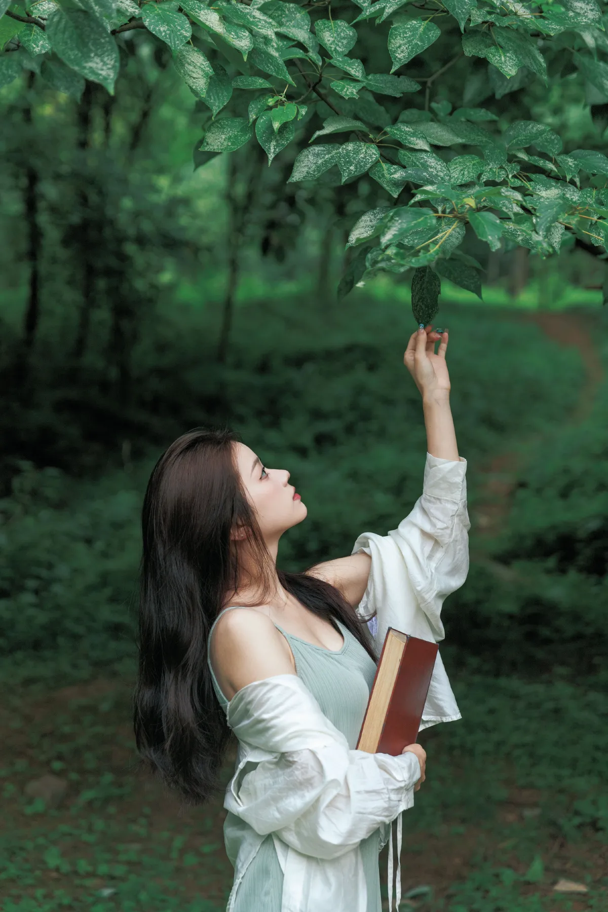穿过夏天的风