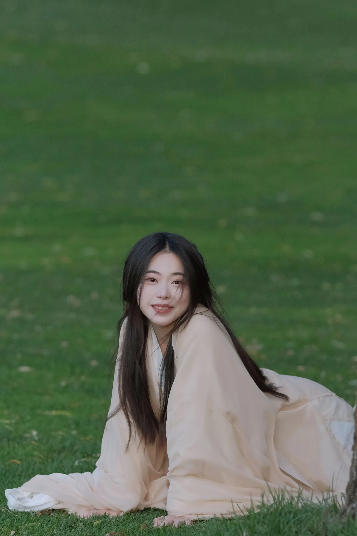 林间小鹿2