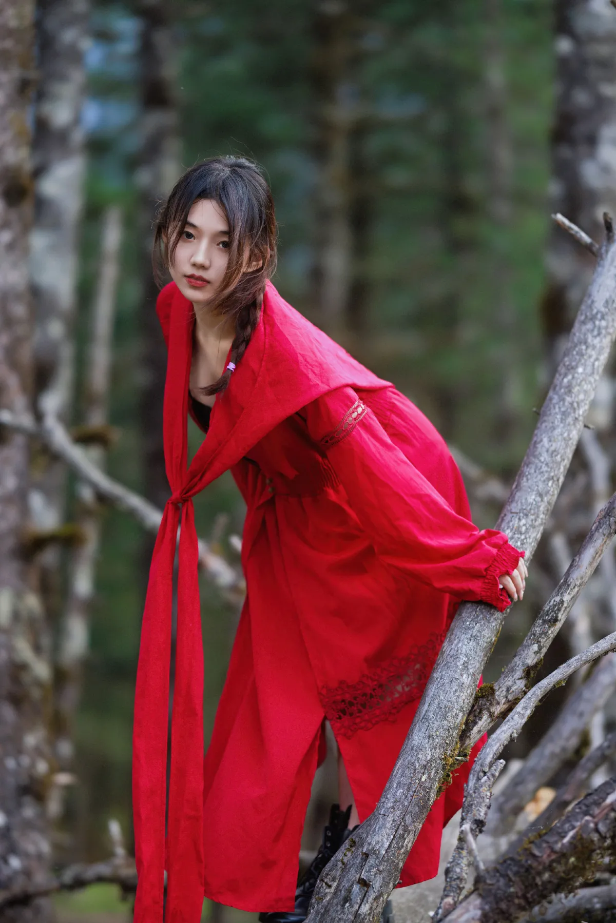 异域森林