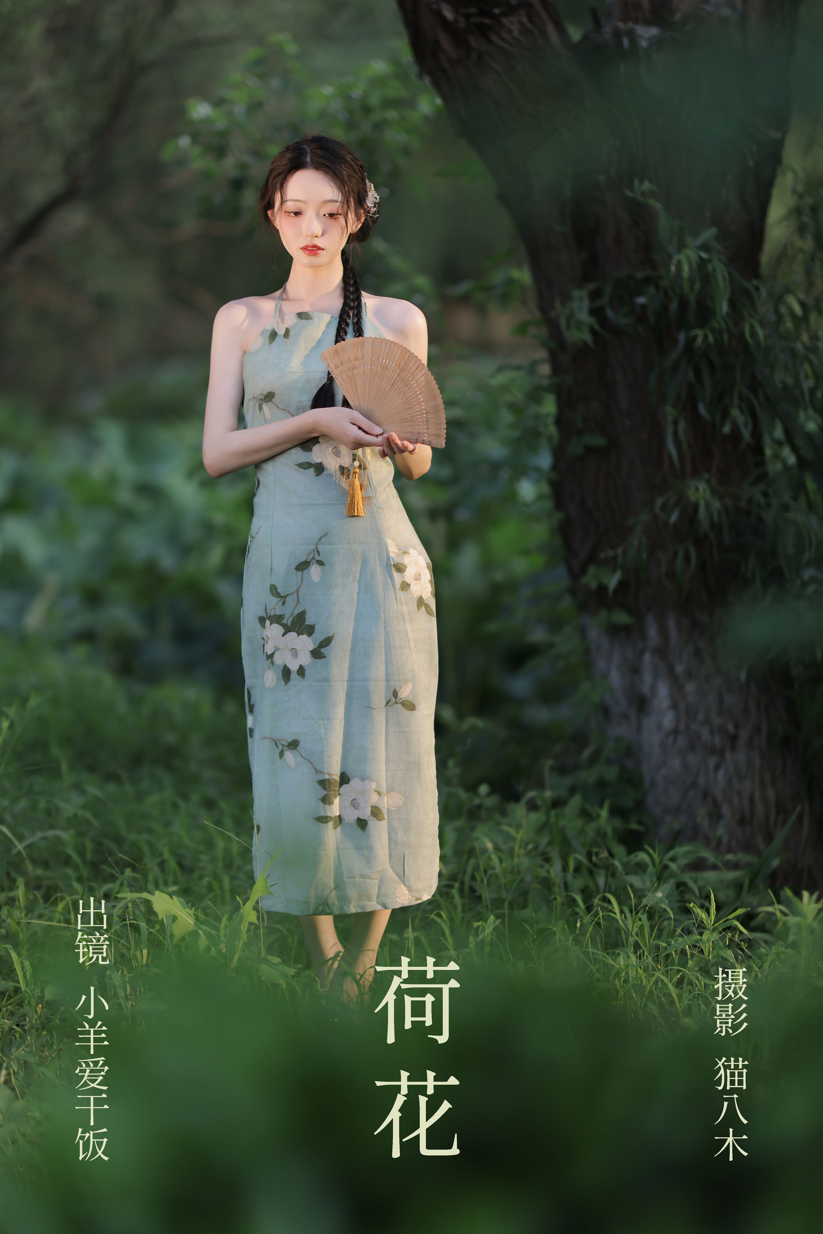 猫八木_小羊爱干饭《荷花》美图作品图片1