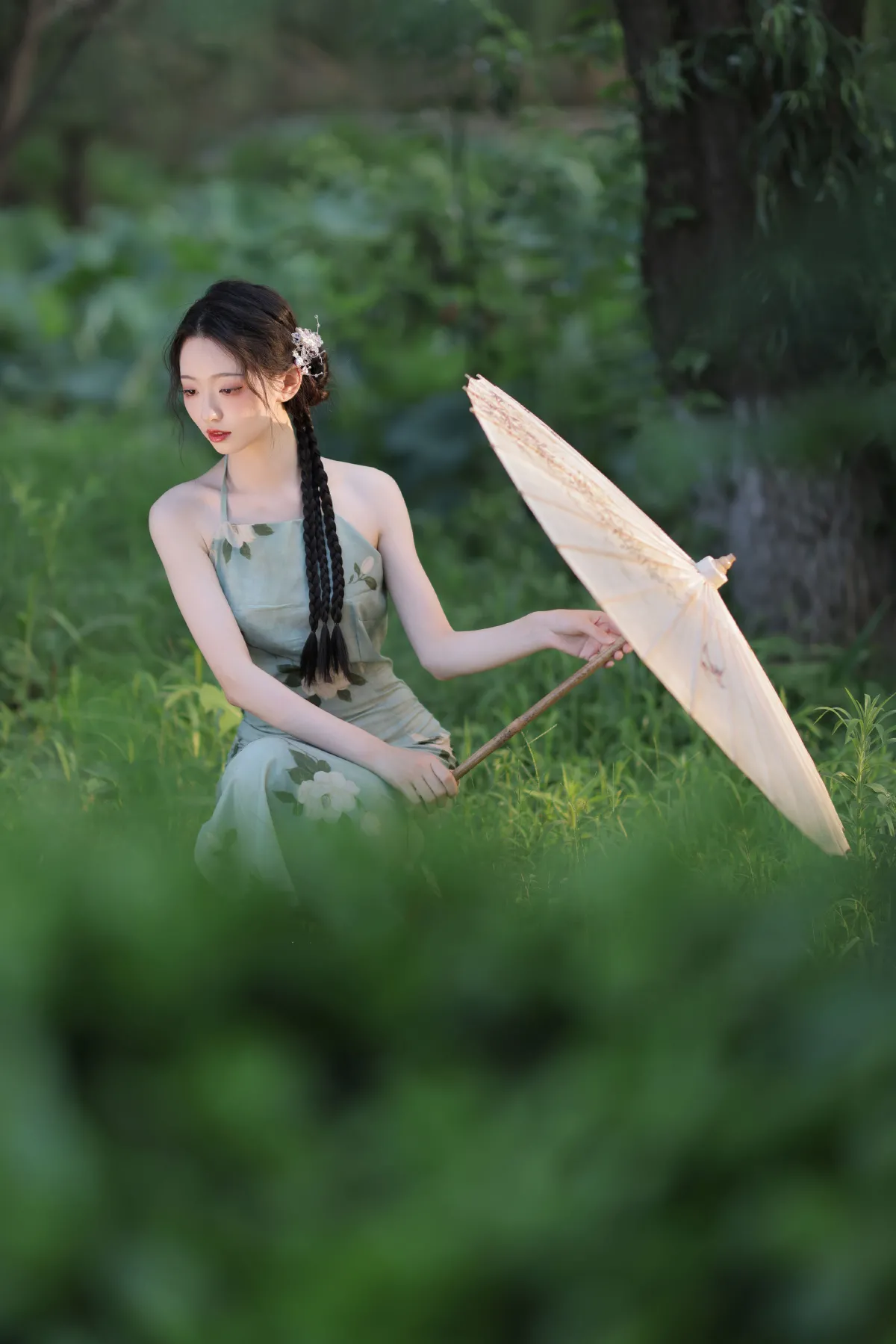 荷花