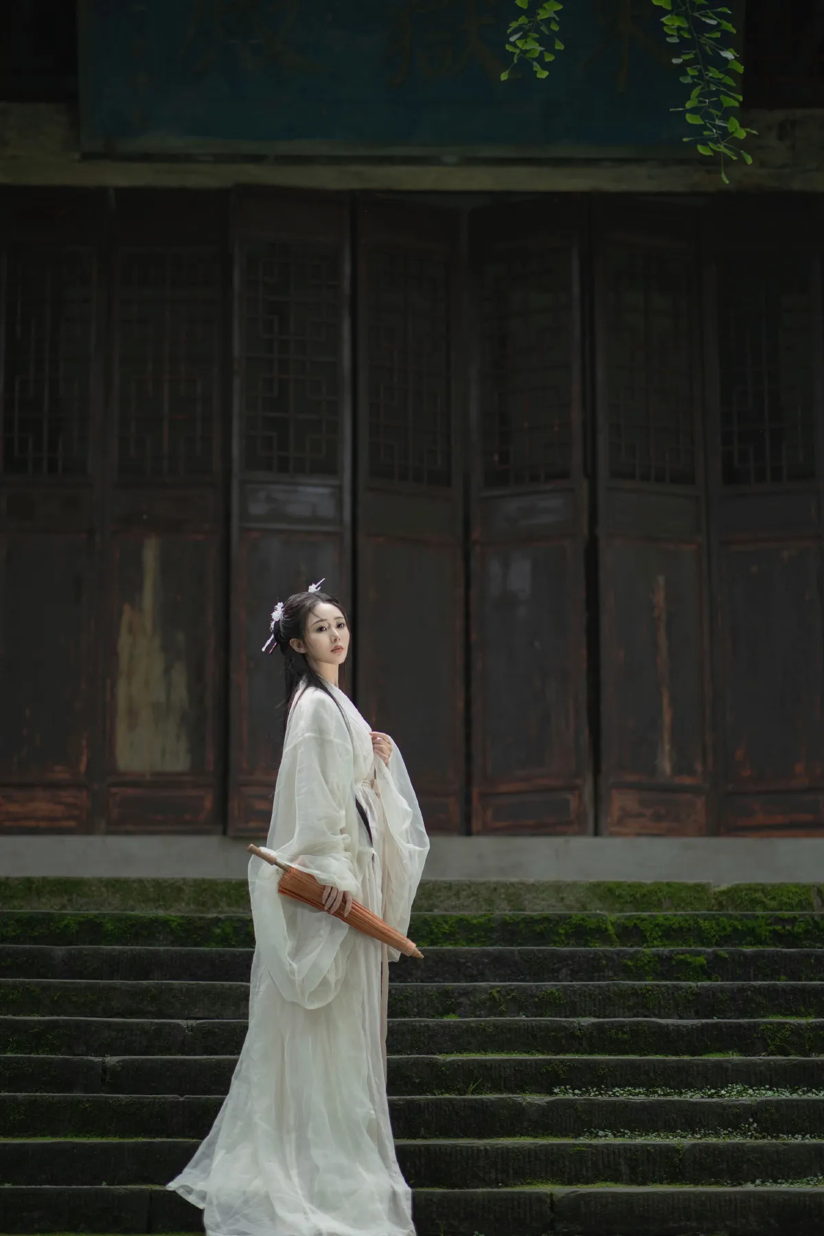将爱却晚秋1