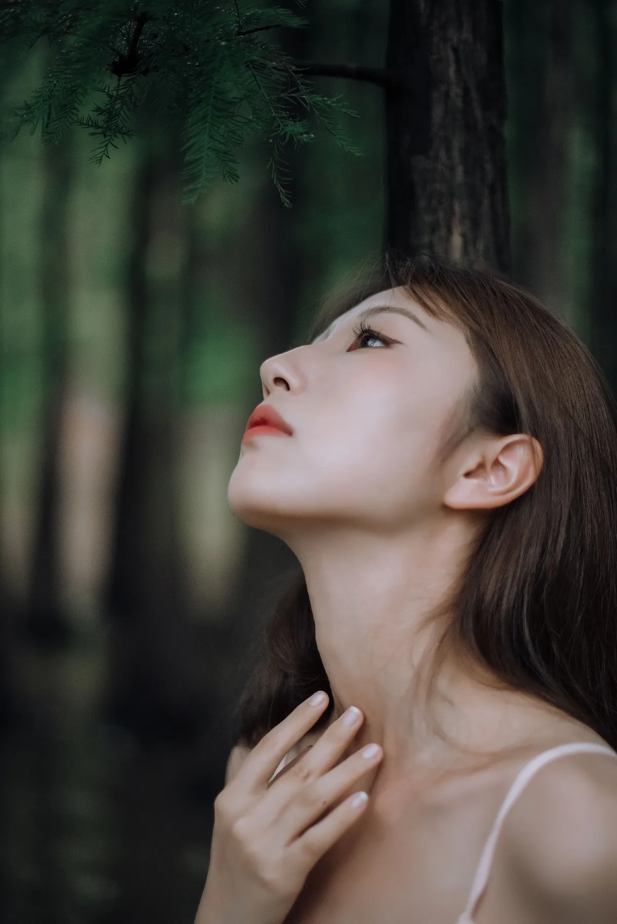 雪云过后3