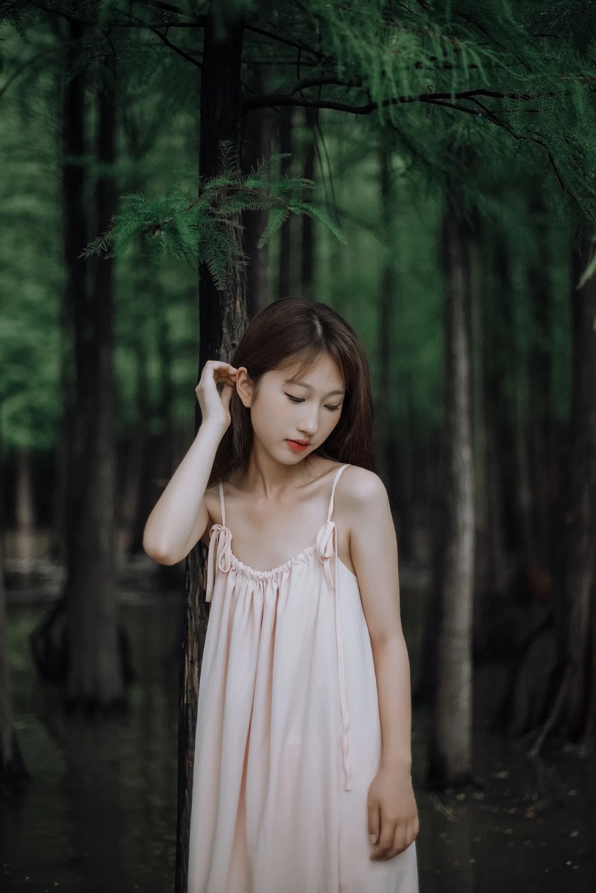 雪云过后