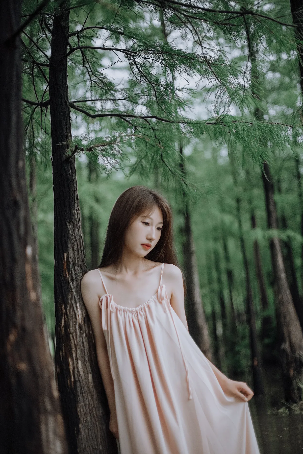 雪云过后