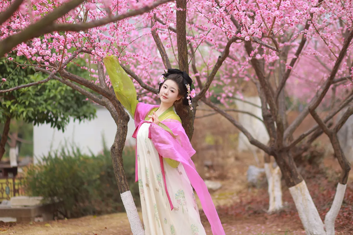 赏梅4