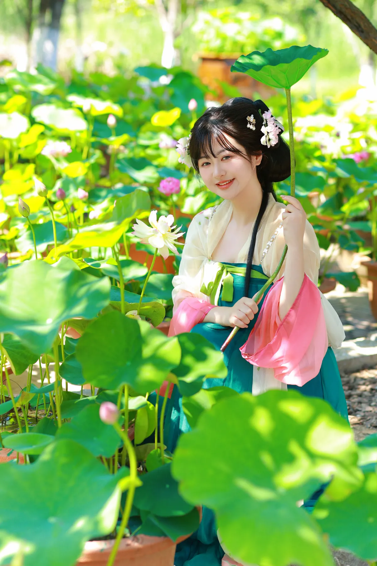 风荷举2