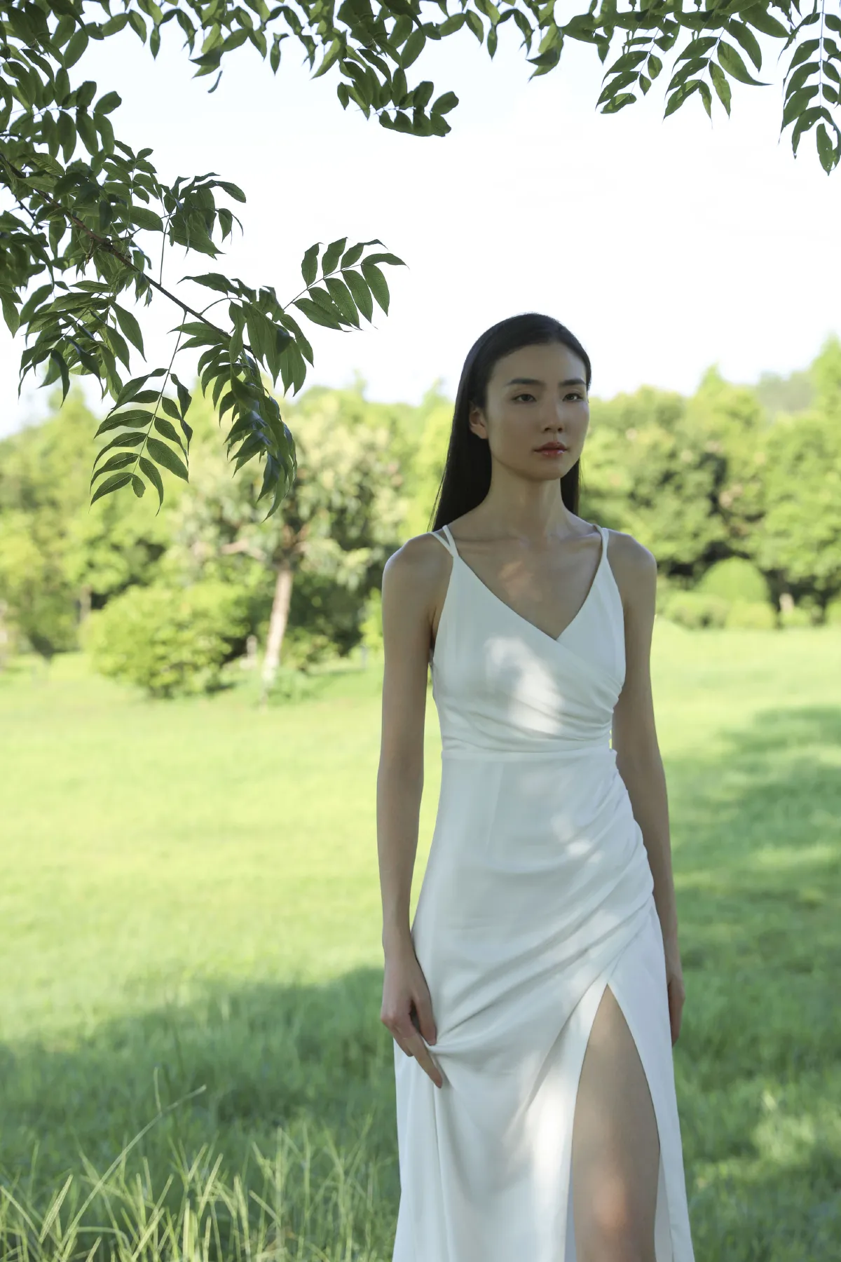 树下1