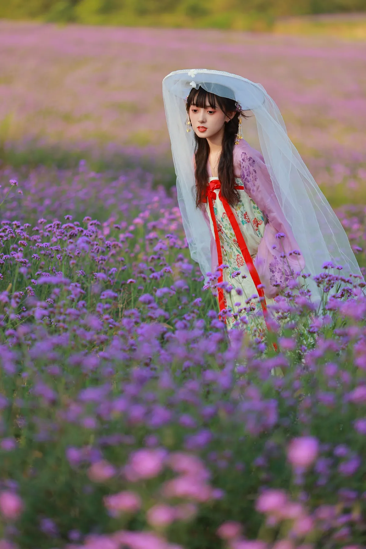 薰衣草少女