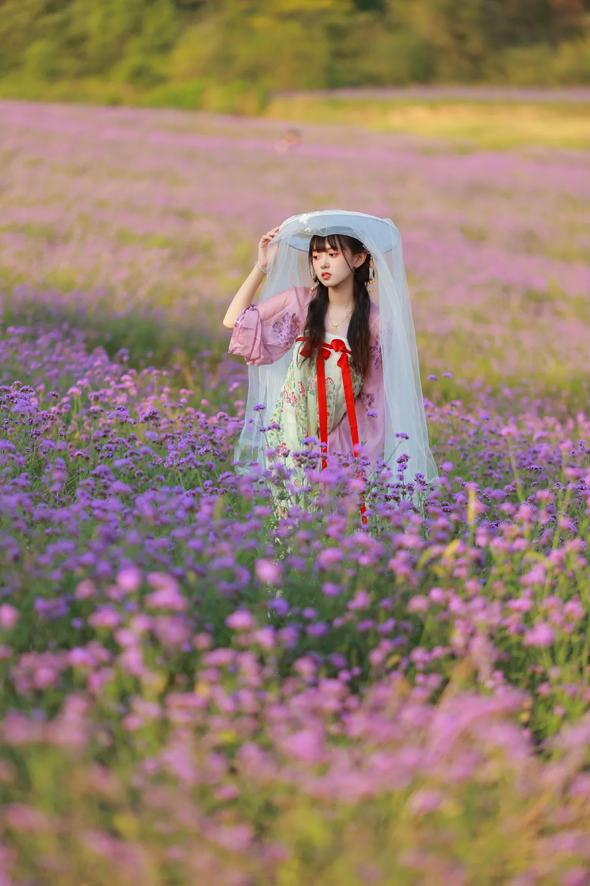 薰衣草少女1