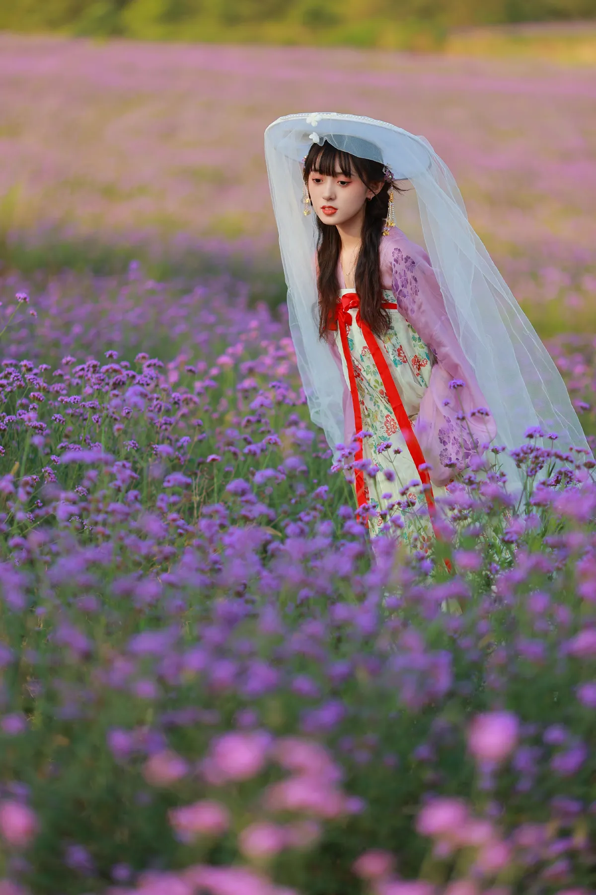 薰衣草少女2