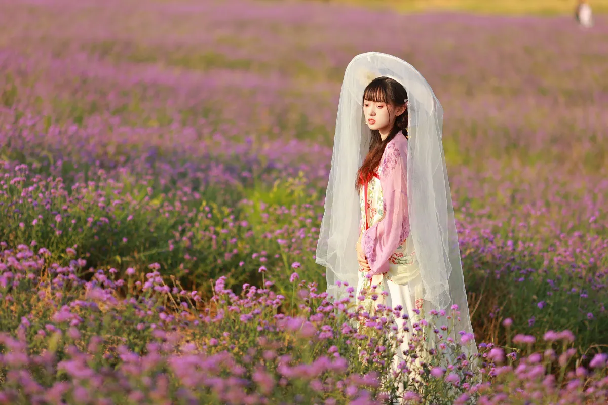 薰衣草少女