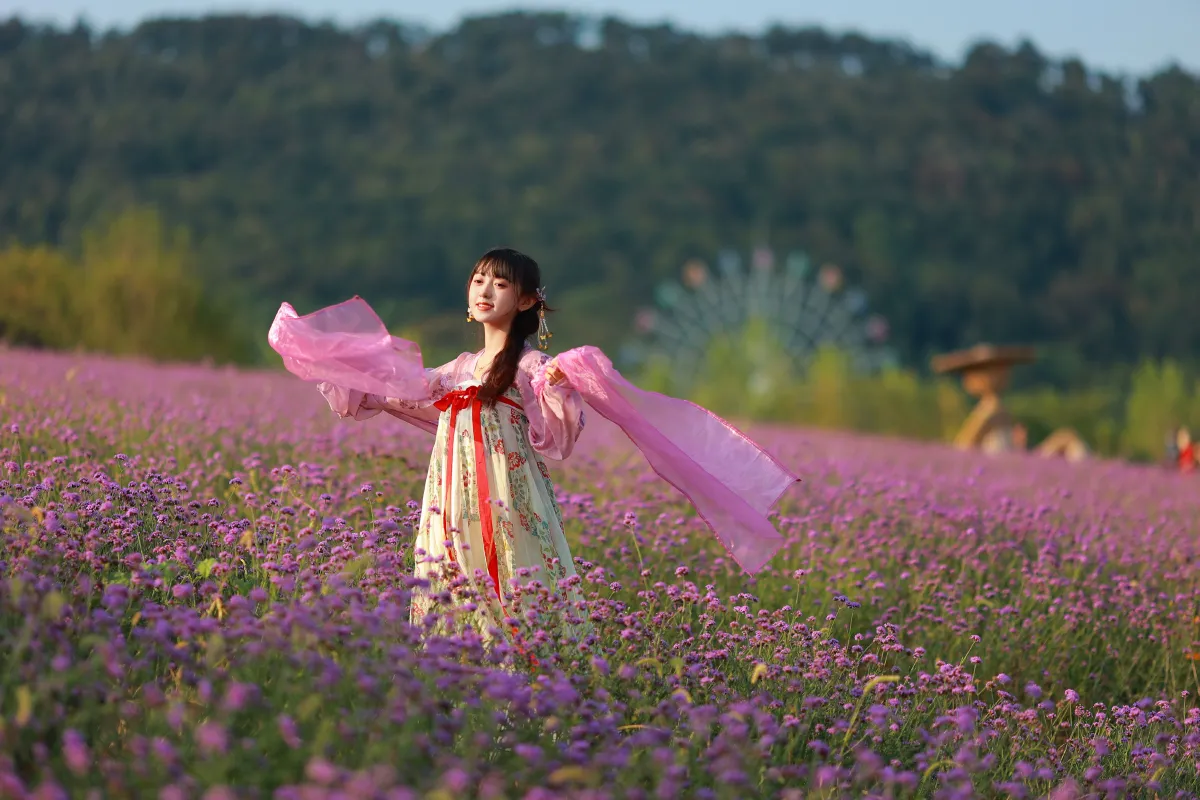 薰衣草少女