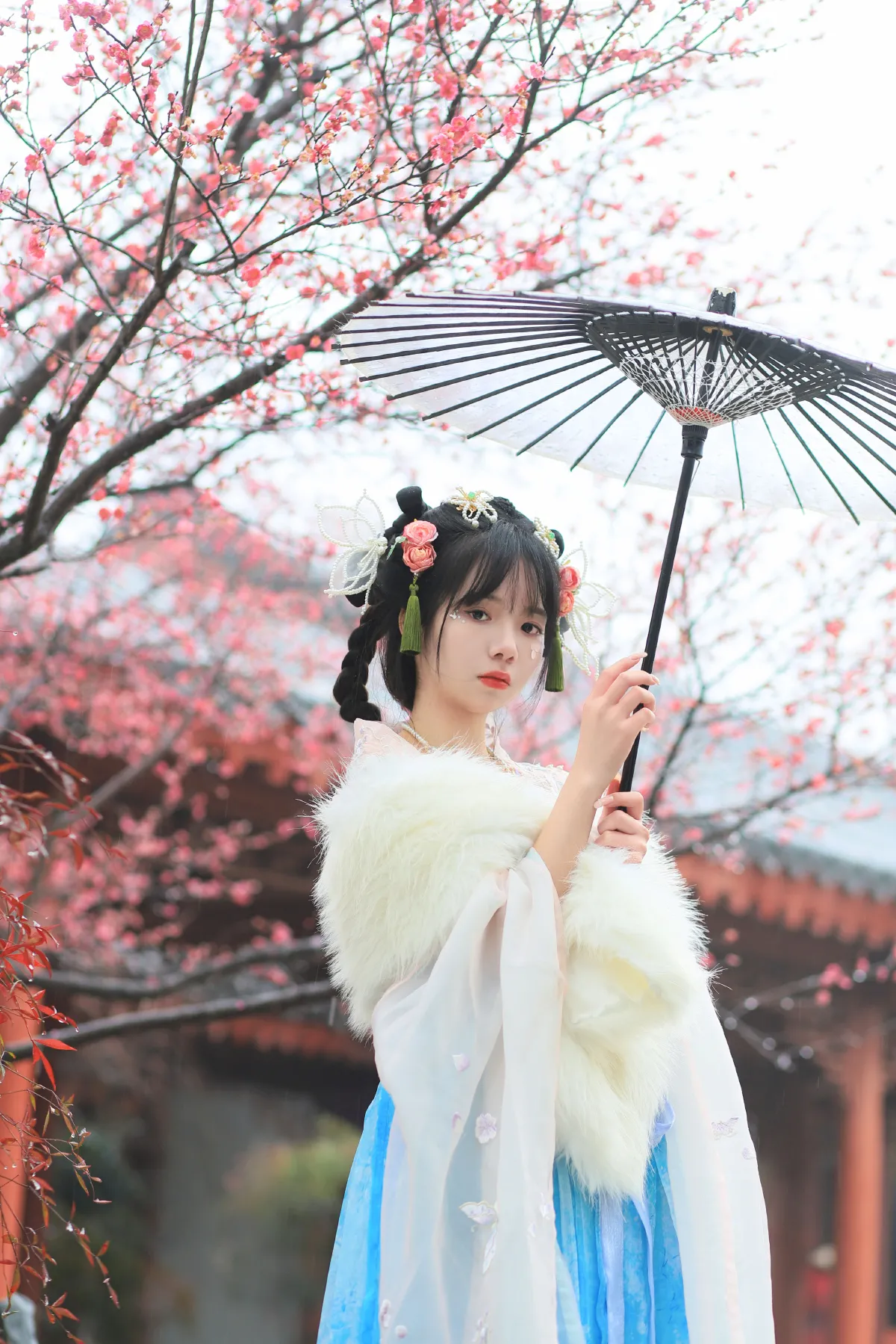 落梅1