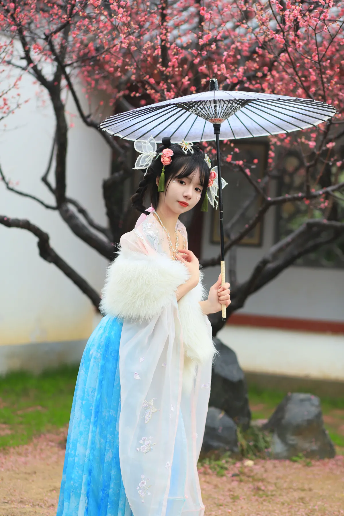 落梅2