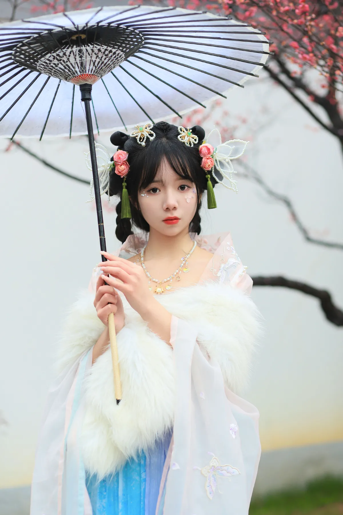 落梅3