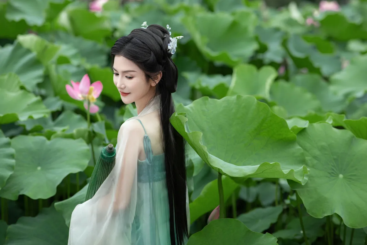 赏荷