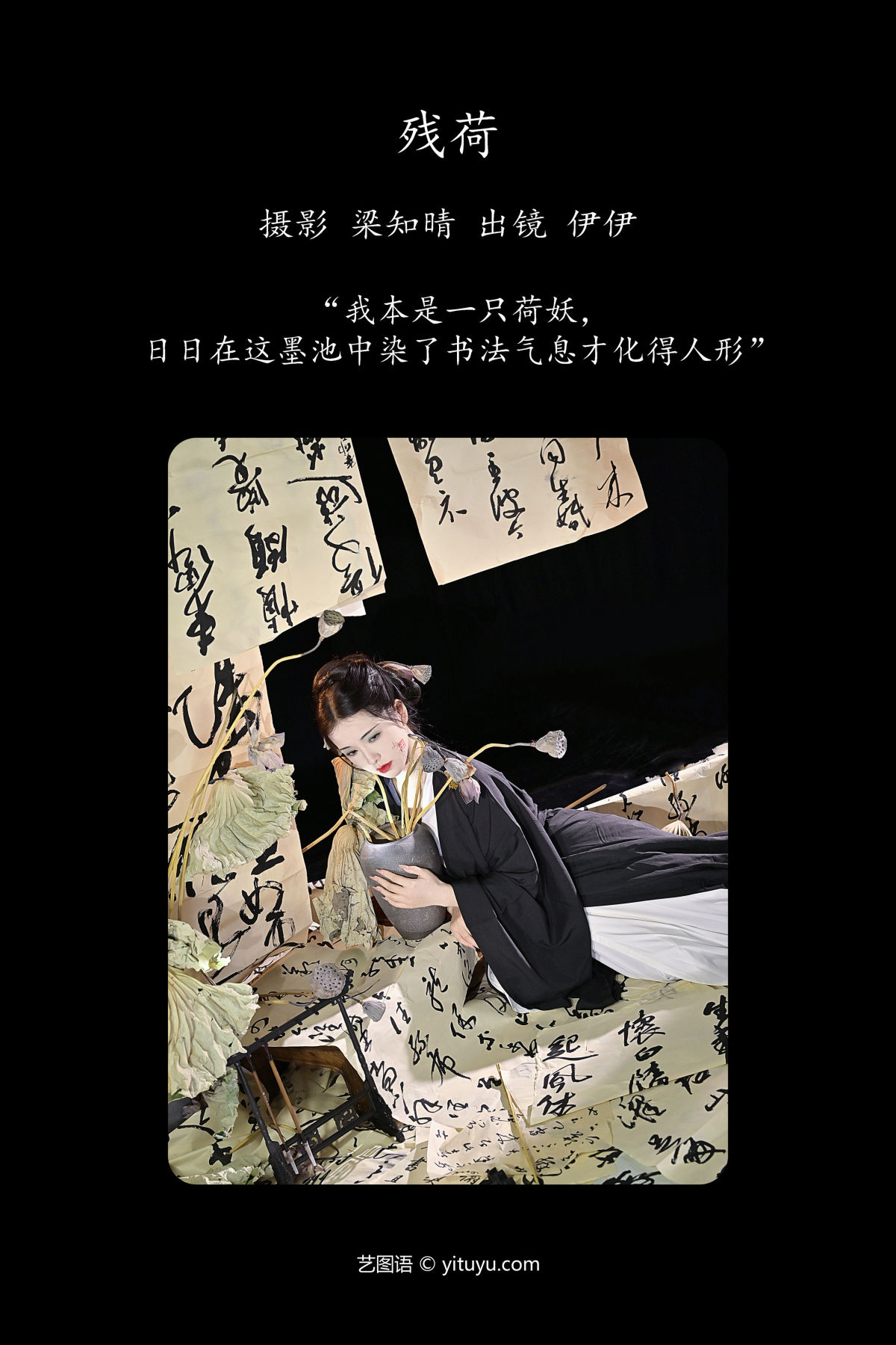 梁知晴_伊伊不想长胖胖《残荷》美图作品图片2