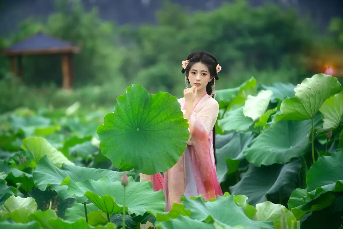 采莲曲