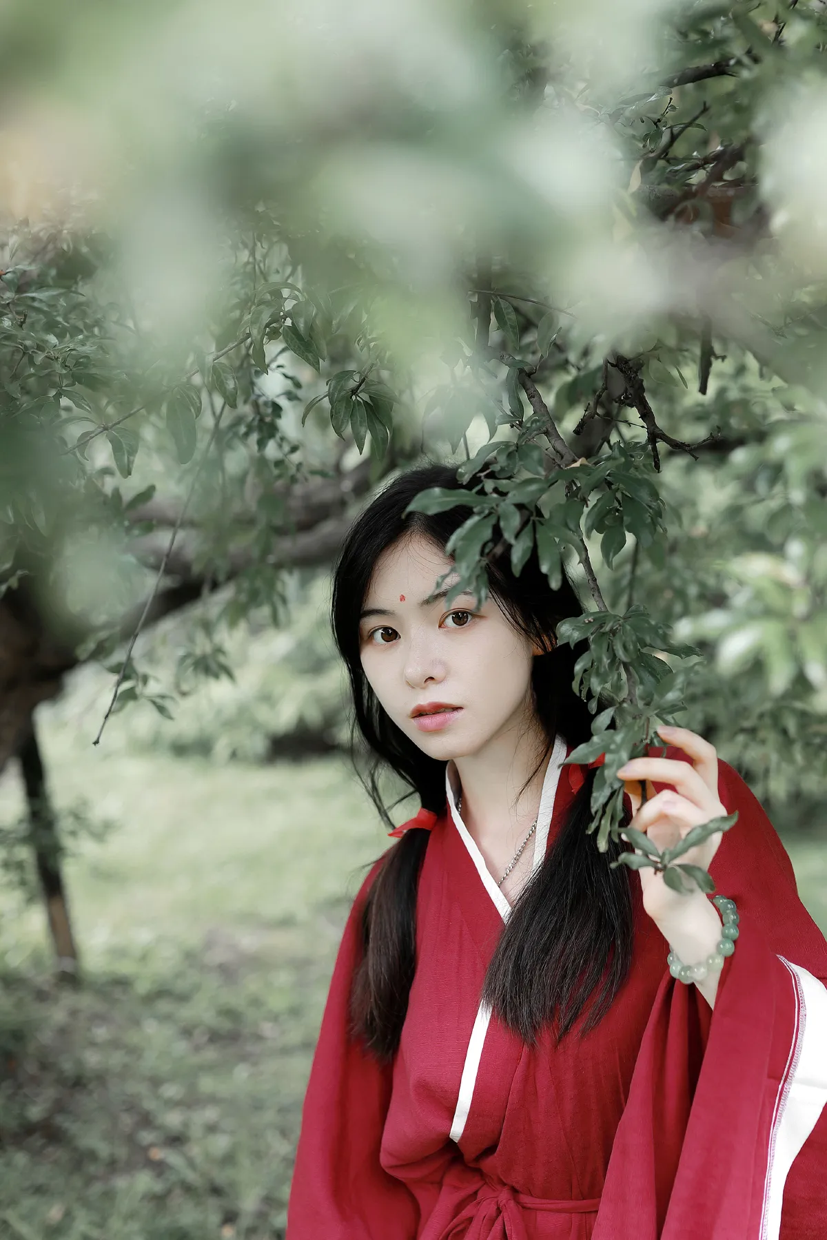 一袭红衣3