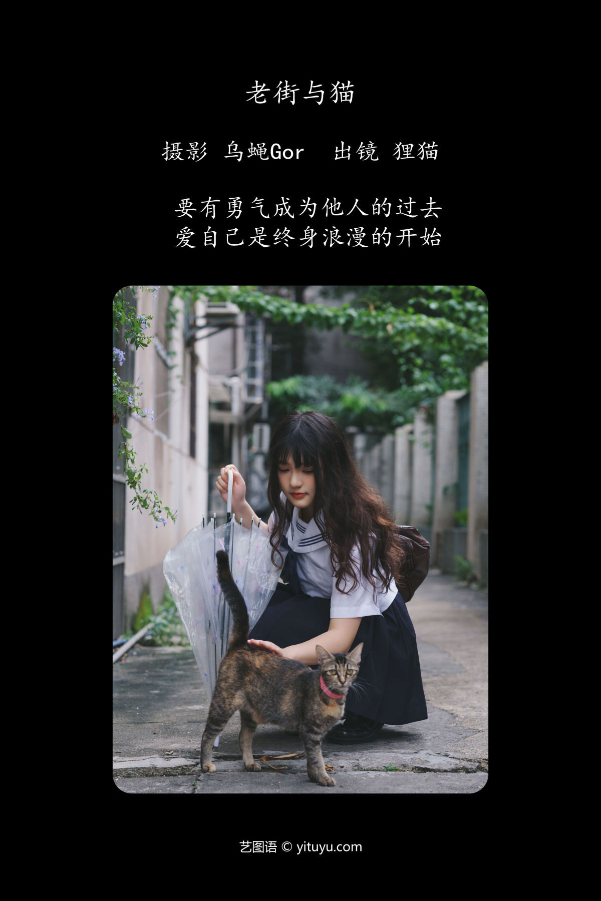 乌蝇Gor_我变成猪了你负责吗《老街与猫》美图作品图片2