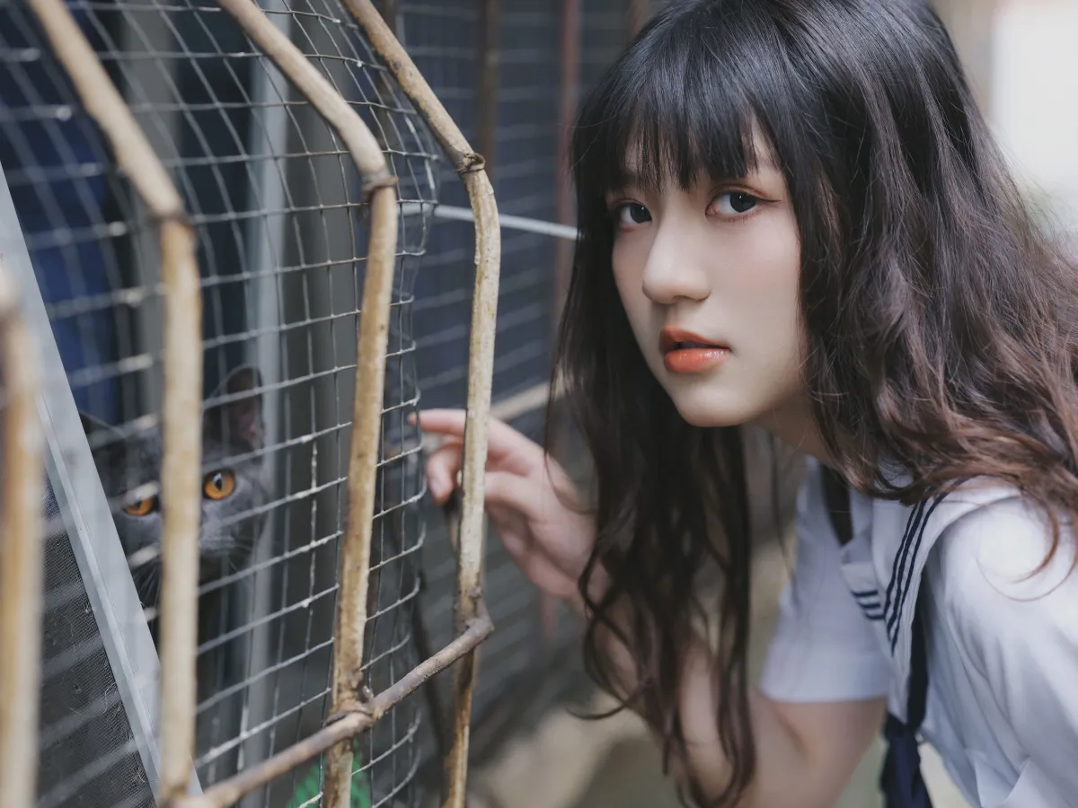 老街与猫