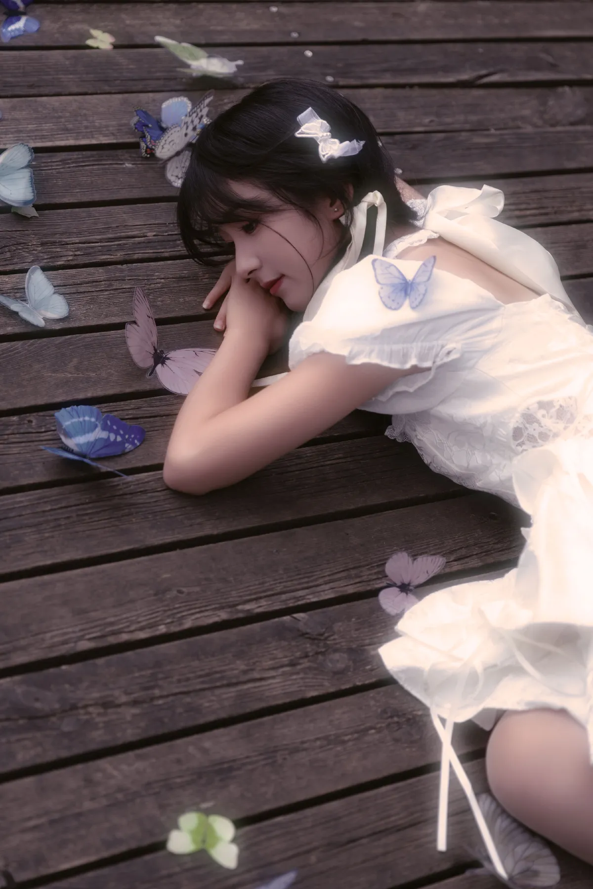 蝴蝶与花1