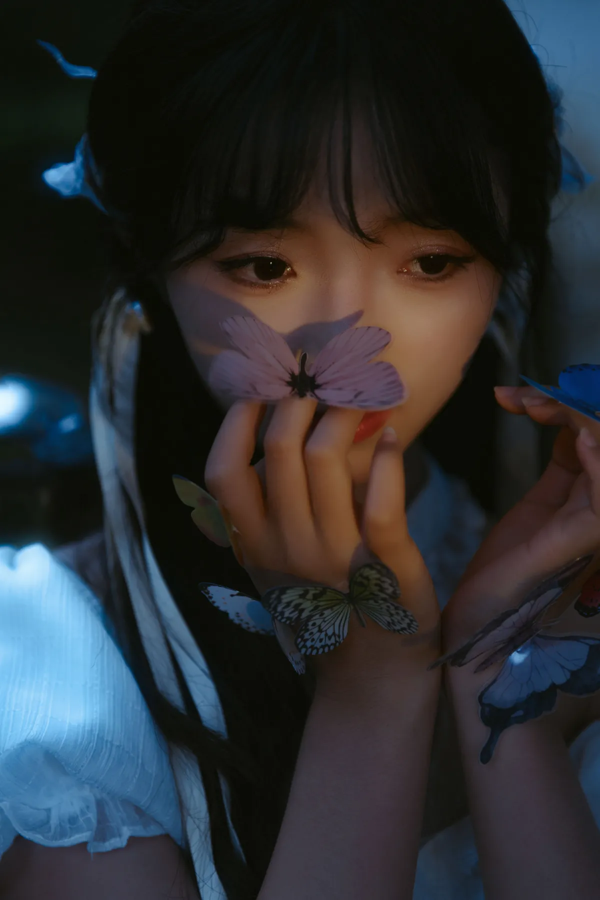 蝴蝶与花3