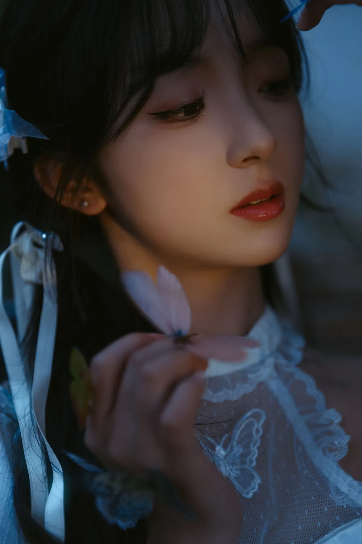 蝴蝶与花