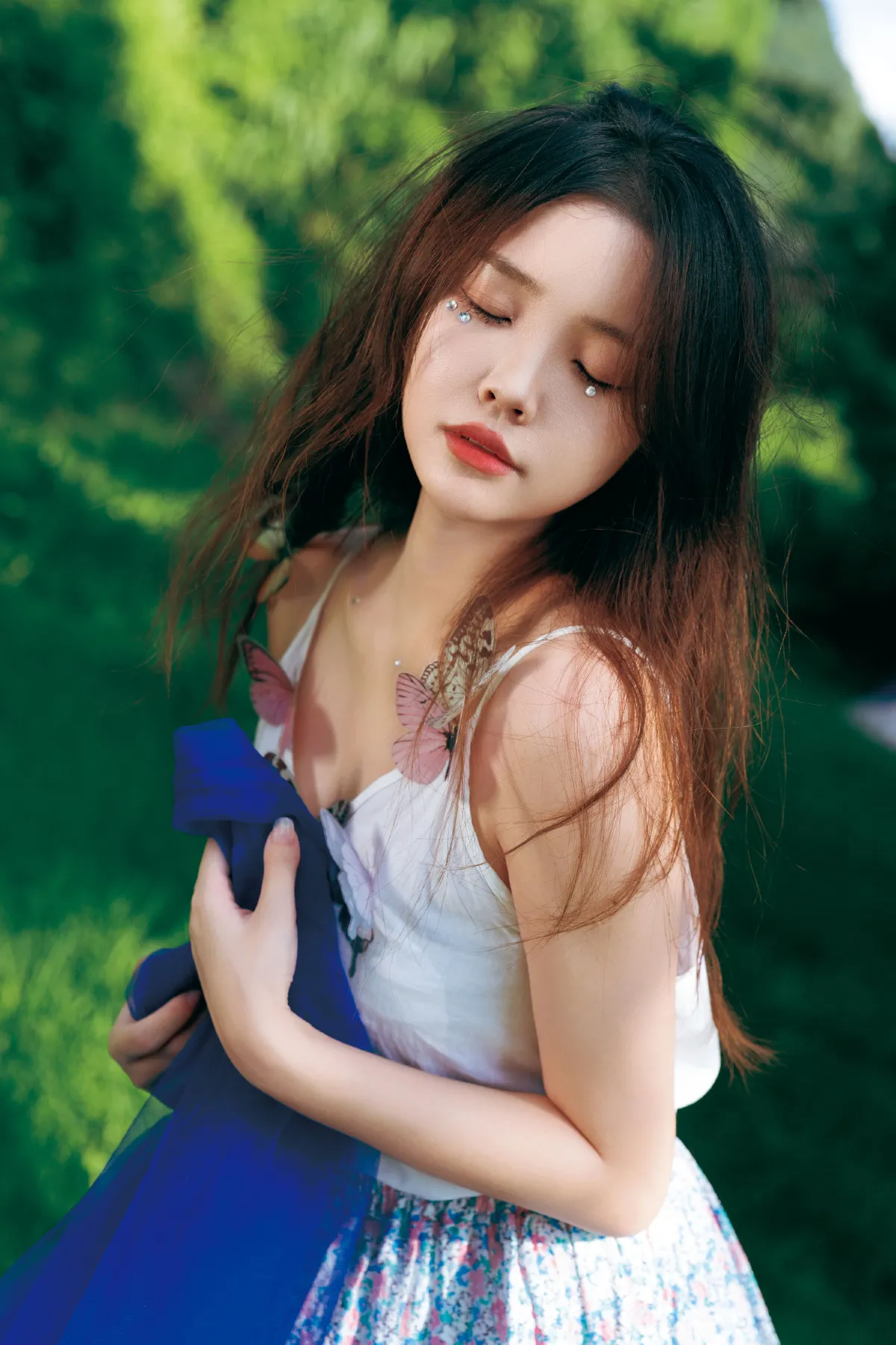 夏日蝴蝶2