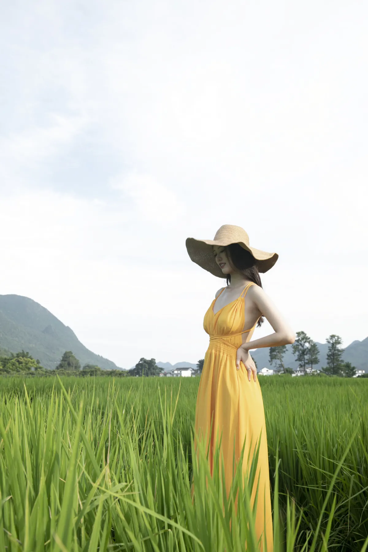 稻香1