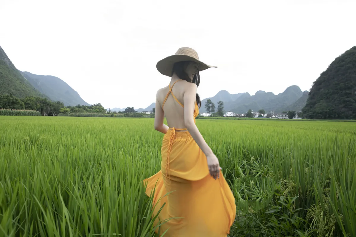 稻香