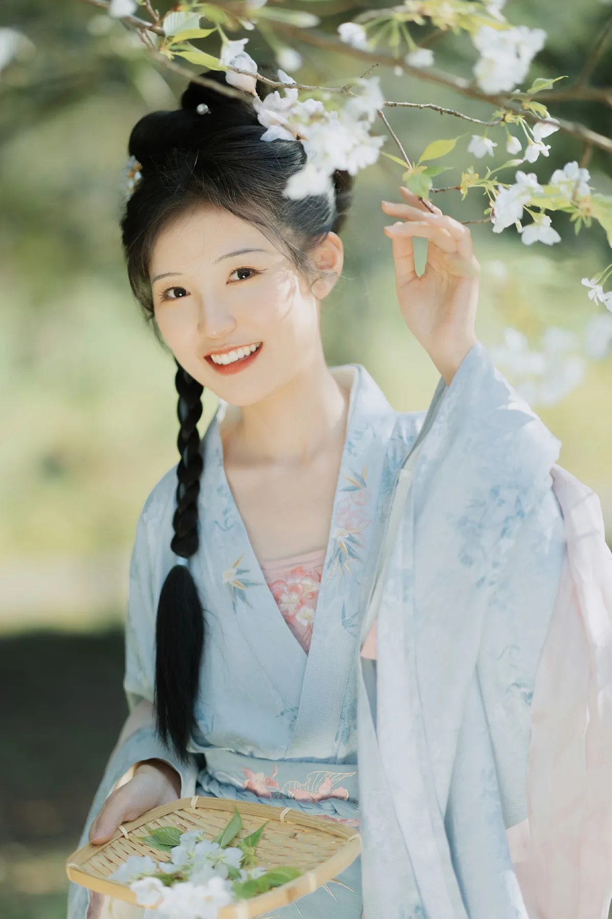樱花树上的少女3