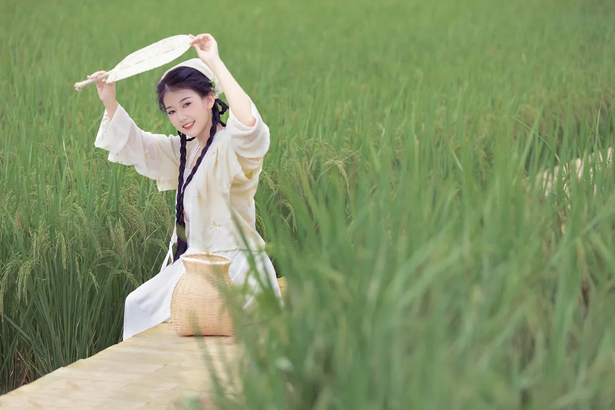稻香3