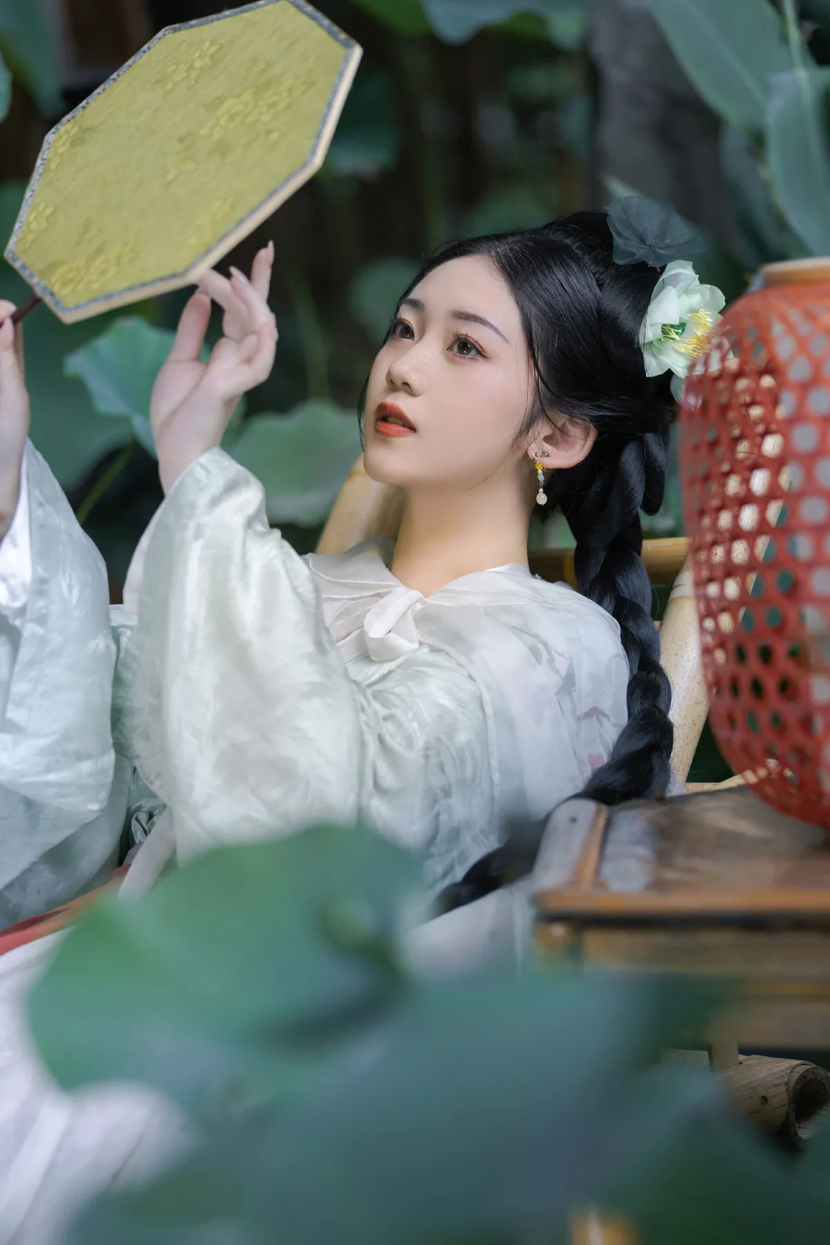 雨荷5