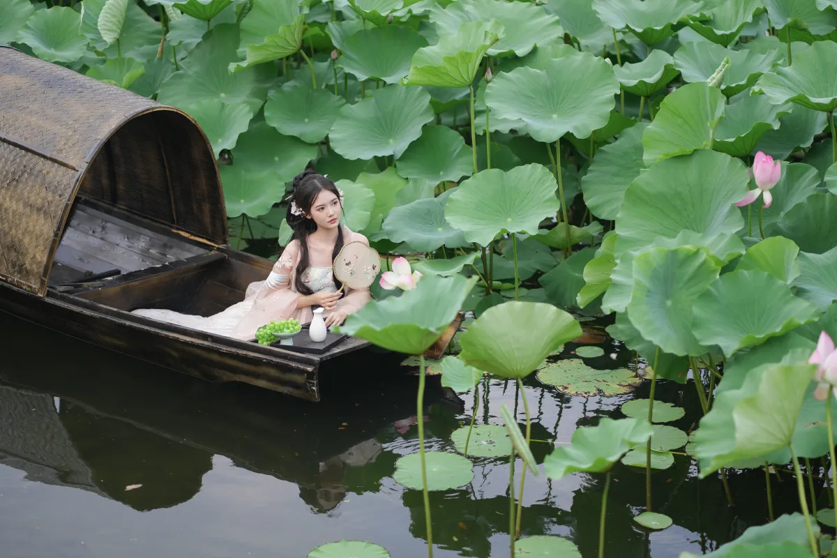 水面清圆一一风荷举