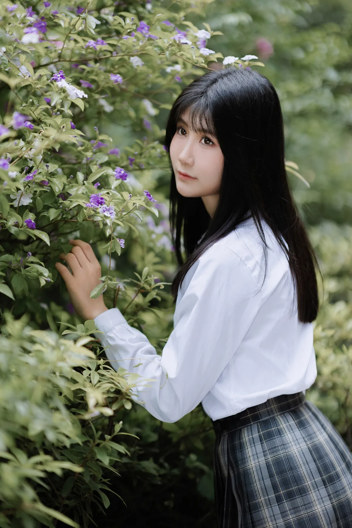 蔷薇开放的季节
