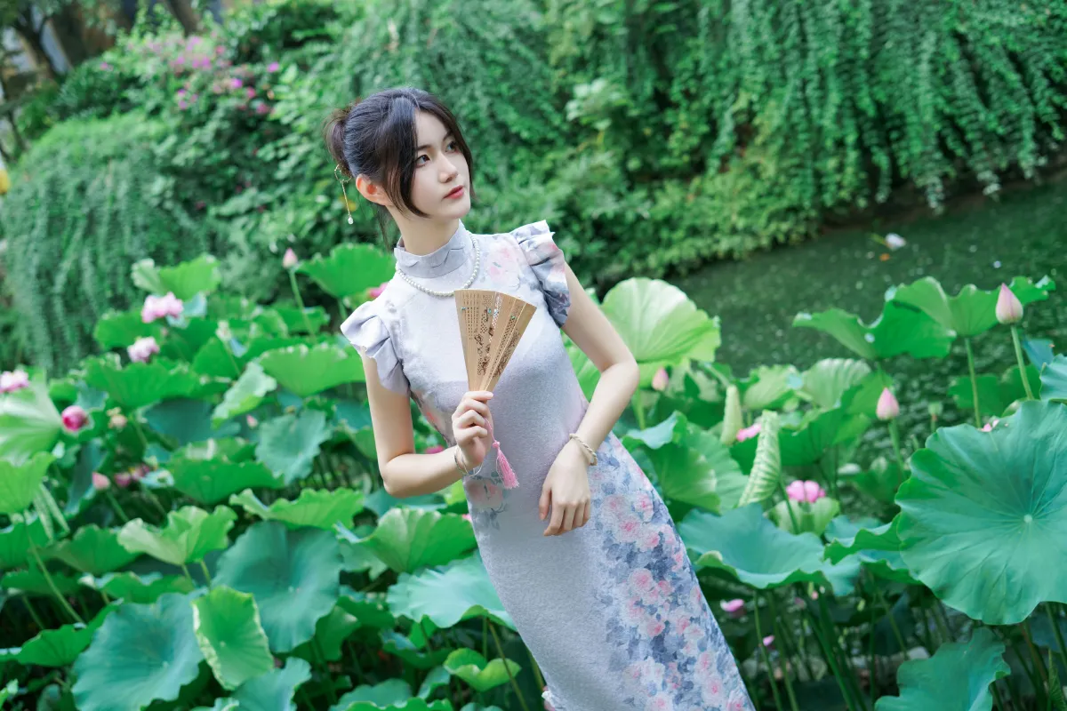 小荷夏至2