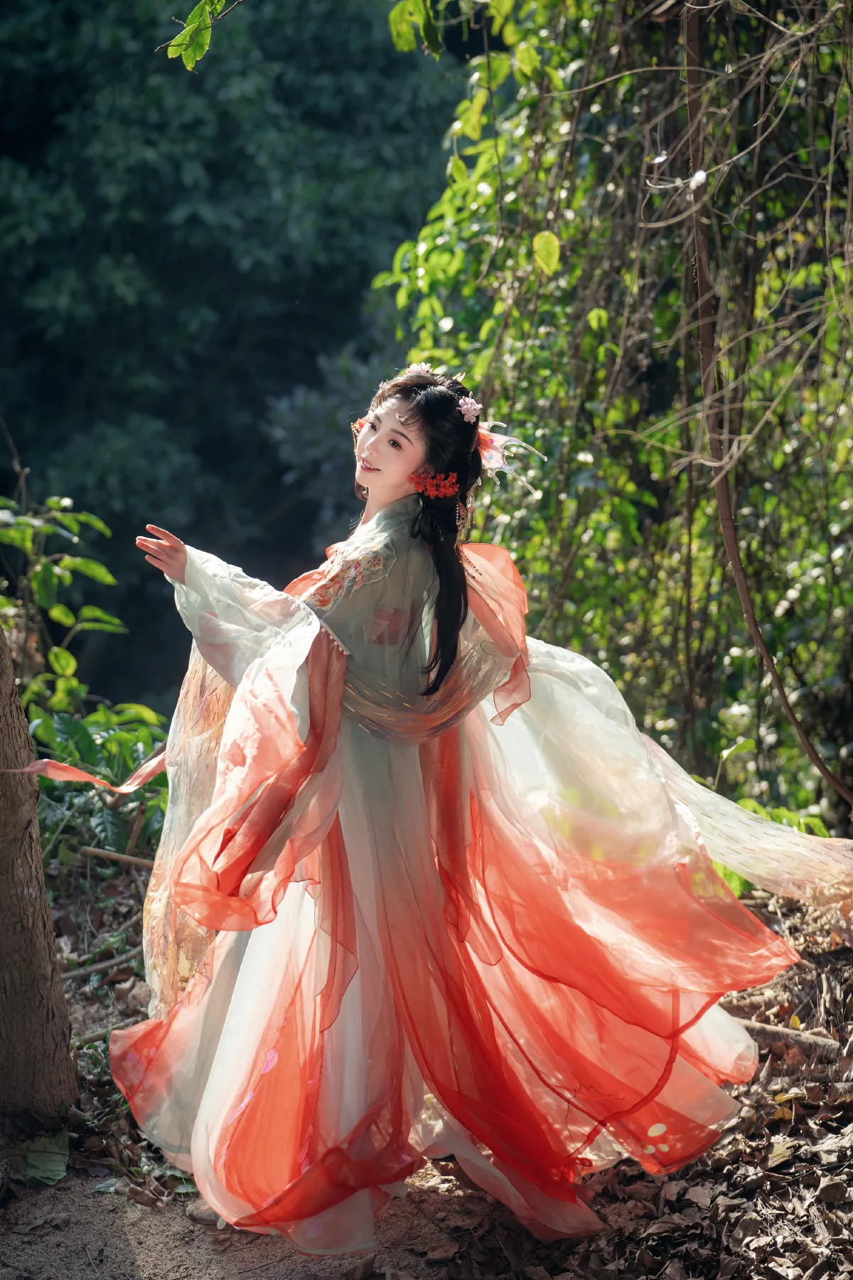 梦锦鲤1