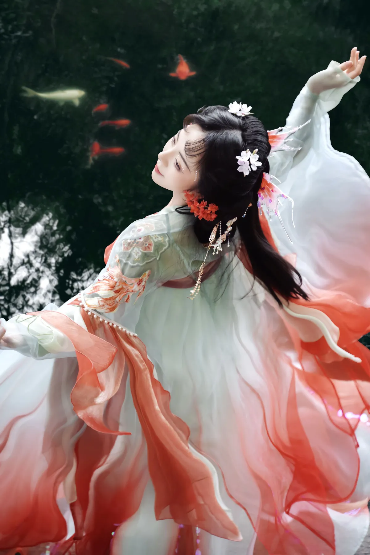梦锦鲤2