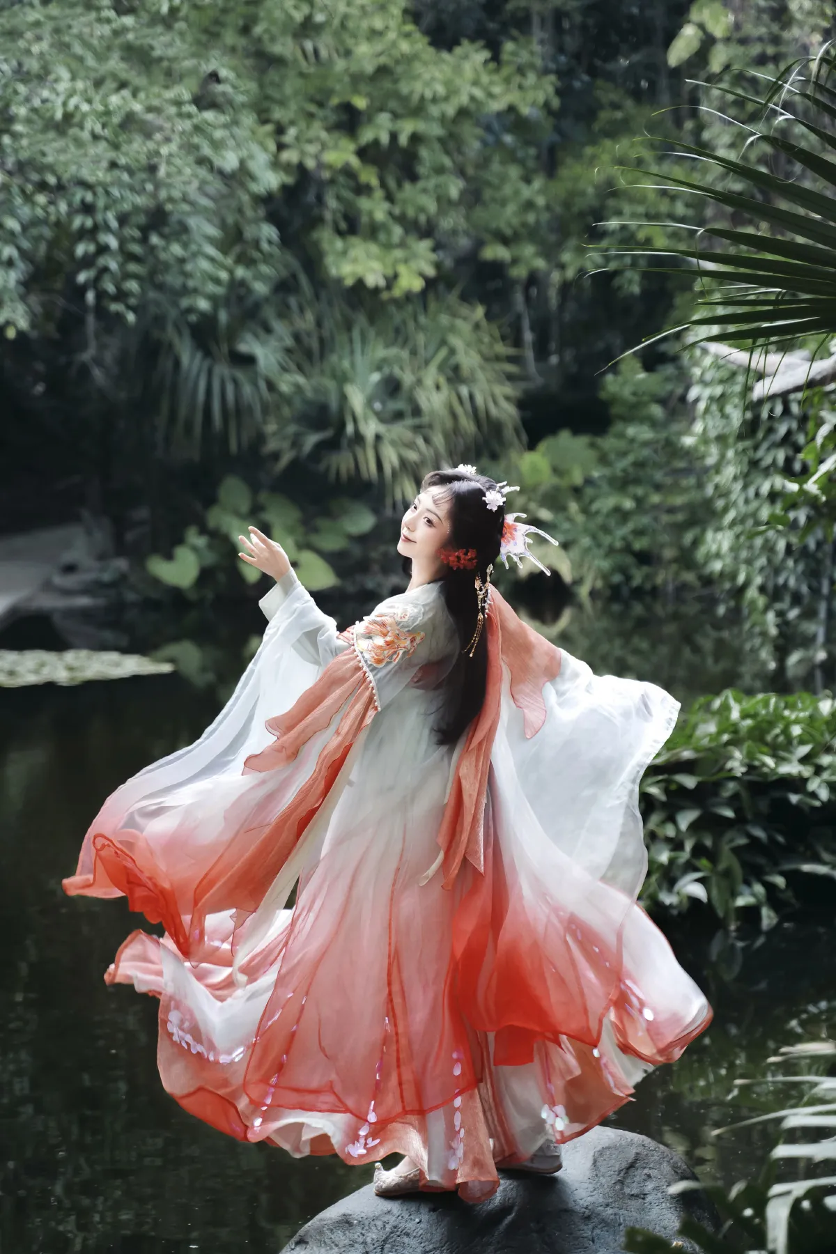 梦锦鲤