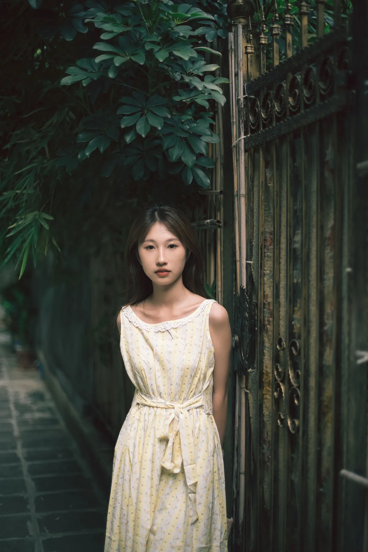 生如夏花1