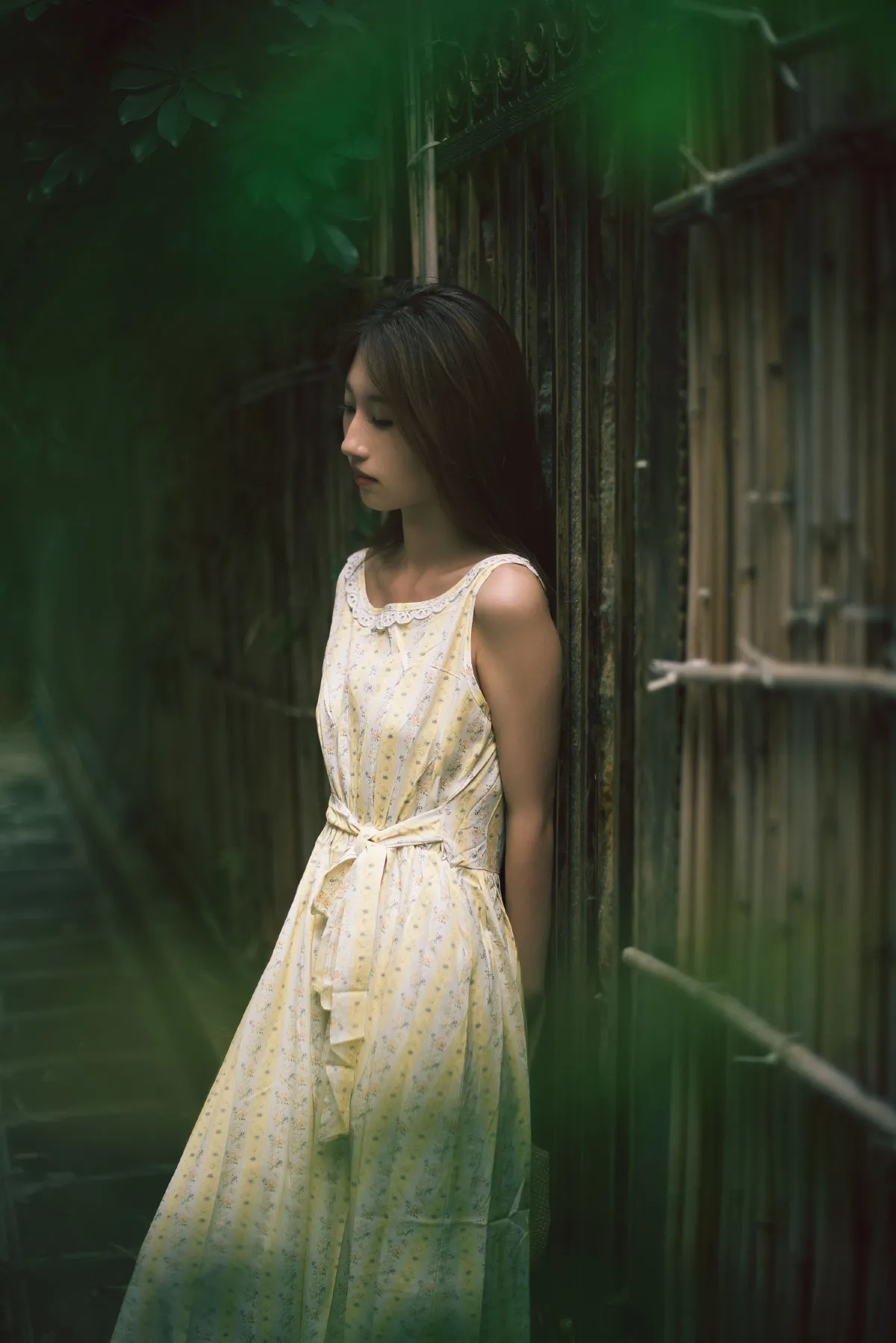 生如夏花2