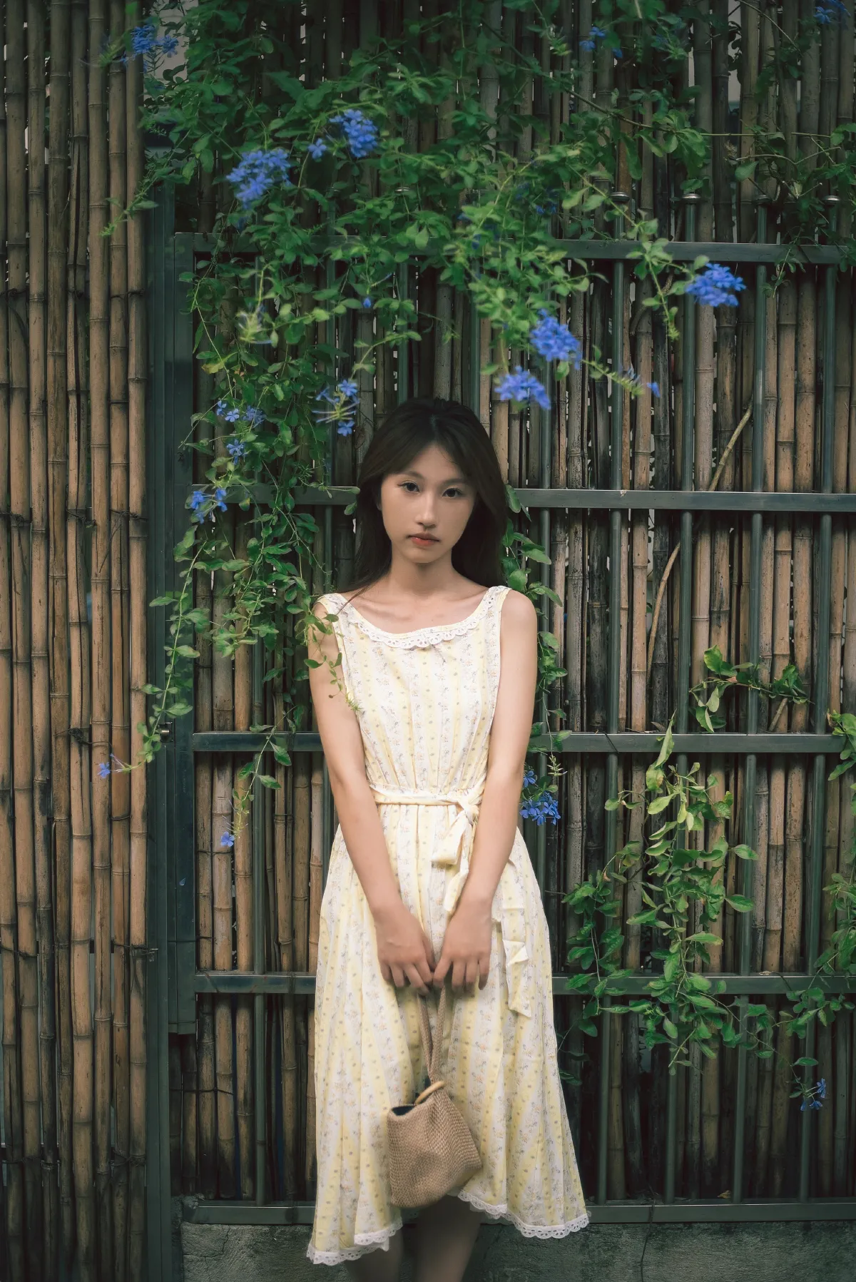生如夏花