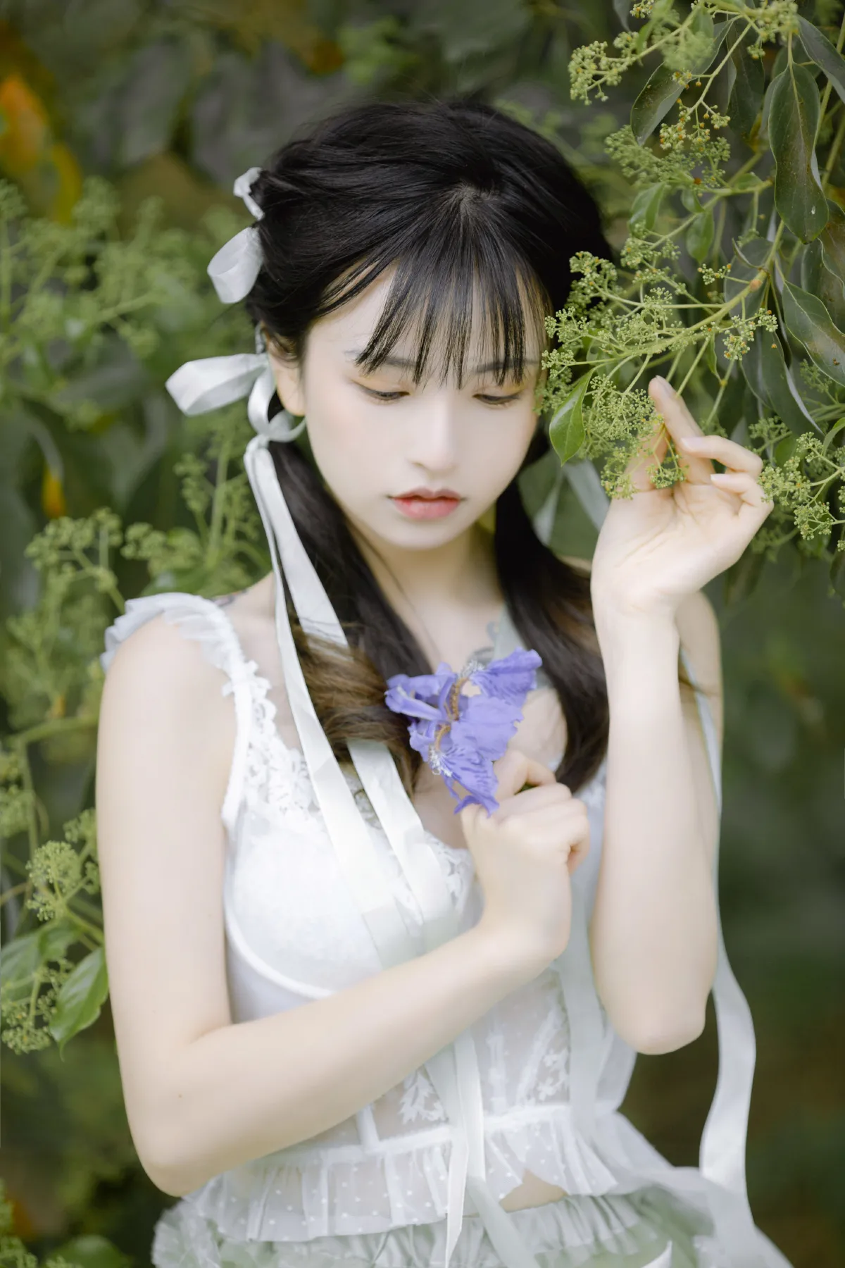 林中鸟2