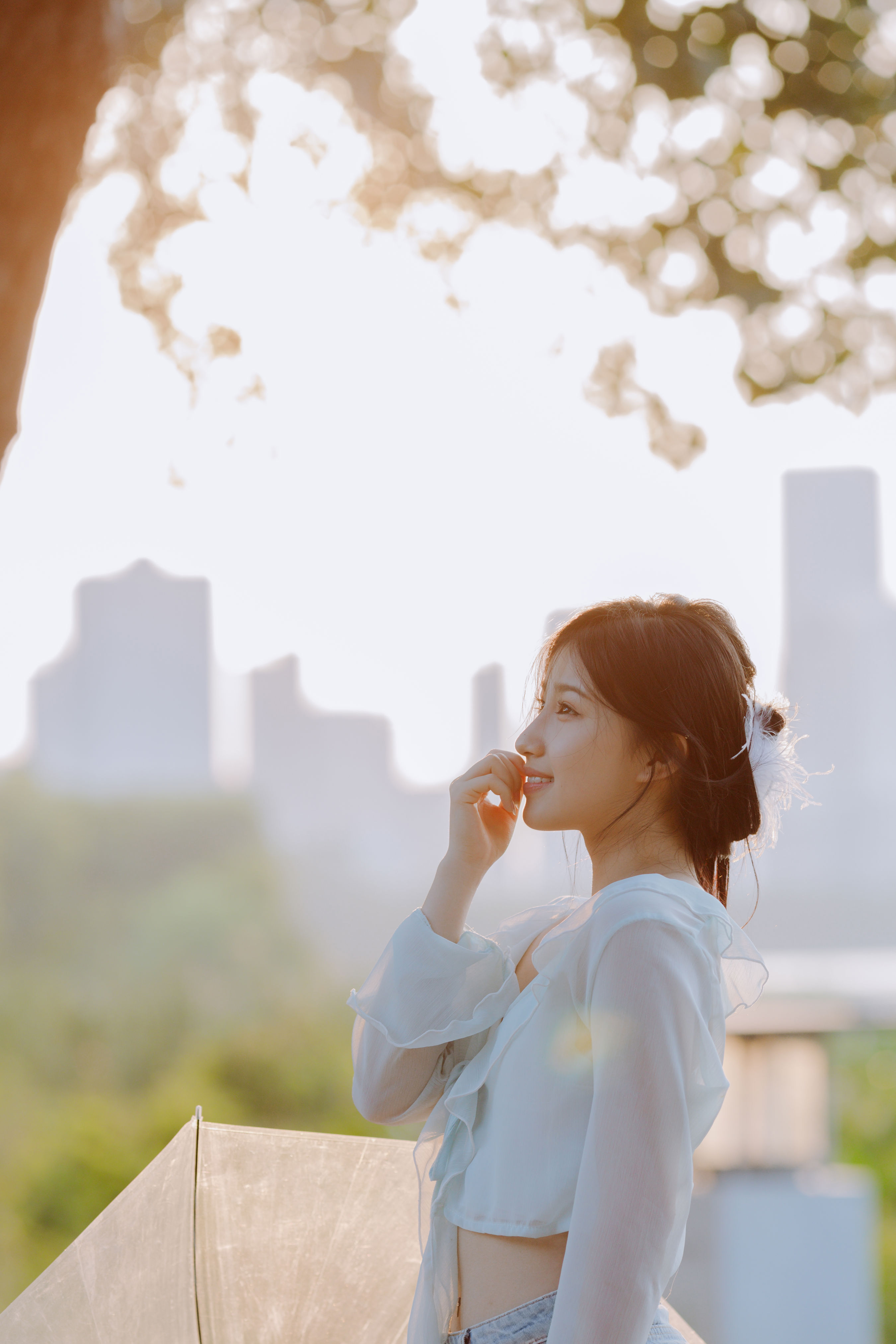 清澈的夏日