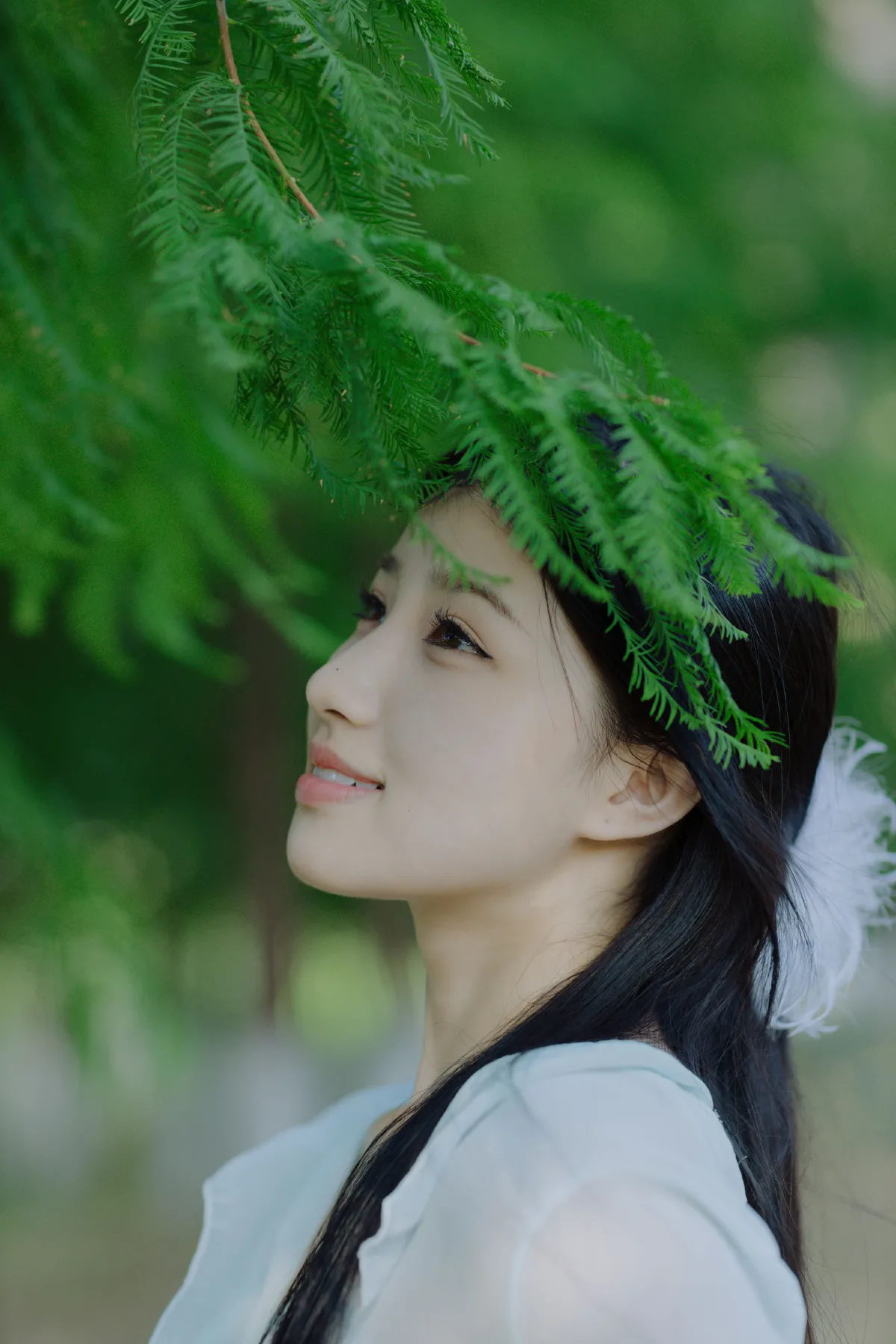 清澈的夏日